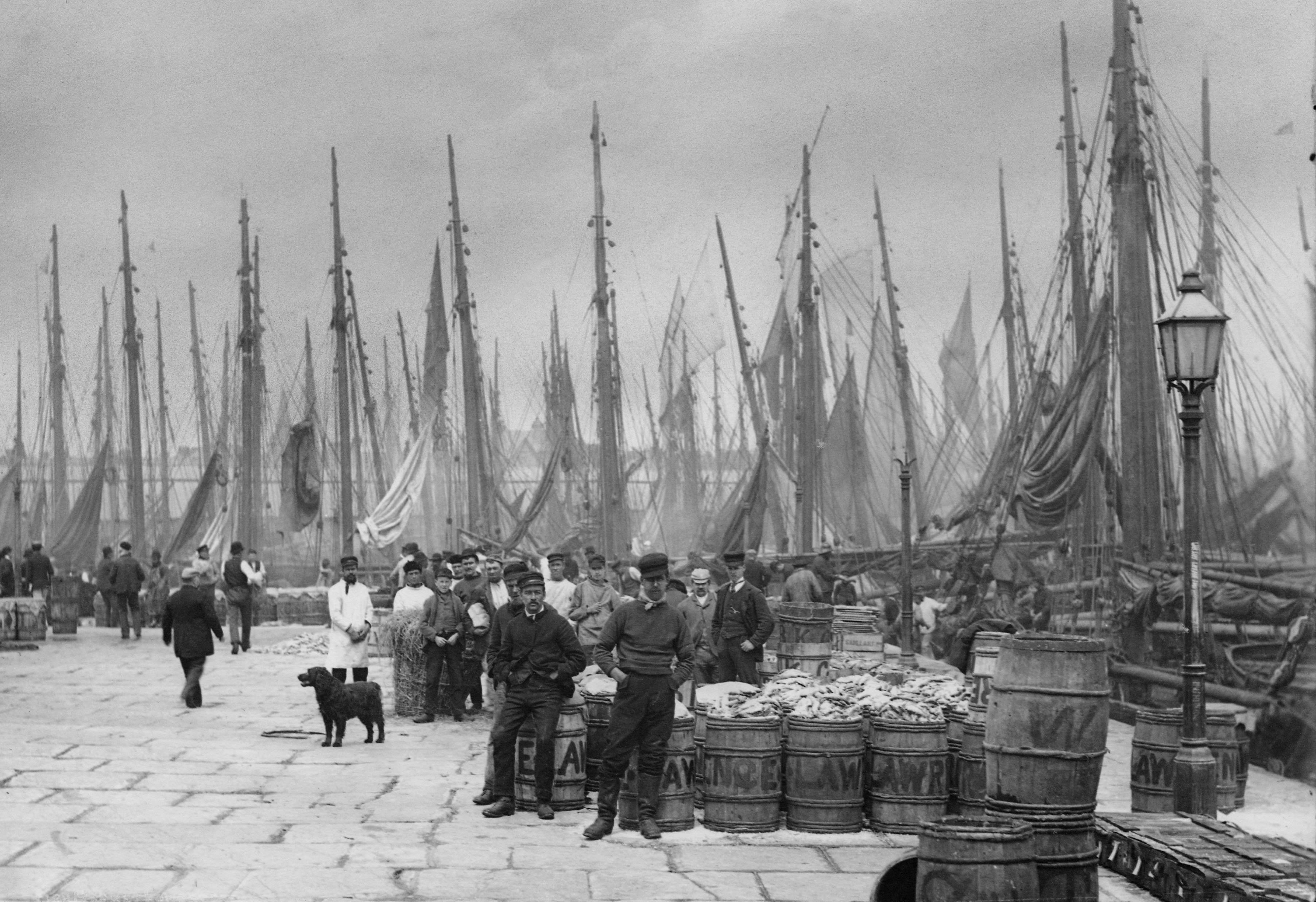 A photograph of the fish market at Lowestoft captured during 1899. In the foreground is barrels of fish with various letters inscribed into them including “W”, “LAW”, “LAWR”, “AW”, “E AW” and “N”. To the right of the three barrels that are front most to the camera, is a line of fish crates and behind them is a lamppost. To the left of the lamppost and moving towards the centre to the left of the image, is many more barrels of fish, with many fisherman gathered around including one black dog which is just right of centre in the photograph. The barrels stretch all the way into the distance, and behind the man, and barrels are a number of fishing vessels. Some of the men are using the barrels to lean upon and are facing the camera, others are standing and other are oblivious and are just walking away from the camera. The men are wearing all sorts of cloths: some are wearing suits, some are wearing fishing gear, some are white food coats, some are wearing jumpers and trousers, and some are wearing waistcoats. The colours of each outfit are equally varied with some being brown, some being white, some white and brown, some brown, and some a mix of all the above. 